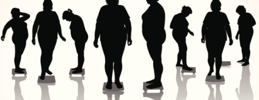 Obesity isn’t the real problem