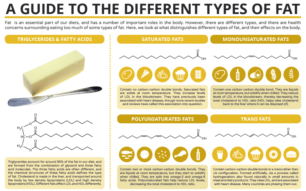 Is Saturated Fat Bad for Me? - The Facts on Fat! | George Health